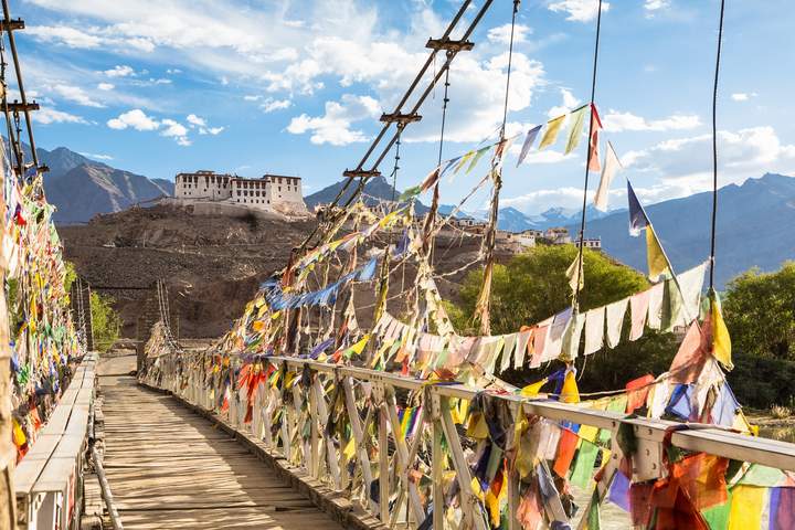 A Trek Through Ladakh's Markha Valley - image 11