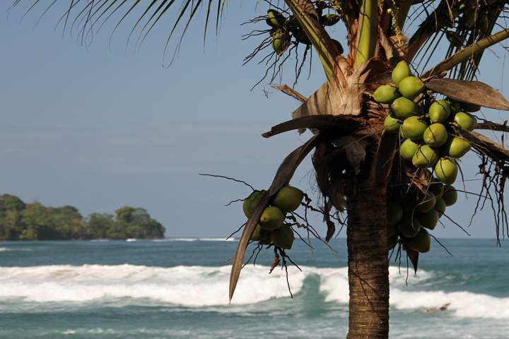 Highlights of Panama - image 9