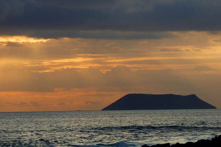 Best of Galapagos: Santa Cruz and Isabela Islands in 7 Days - image 6