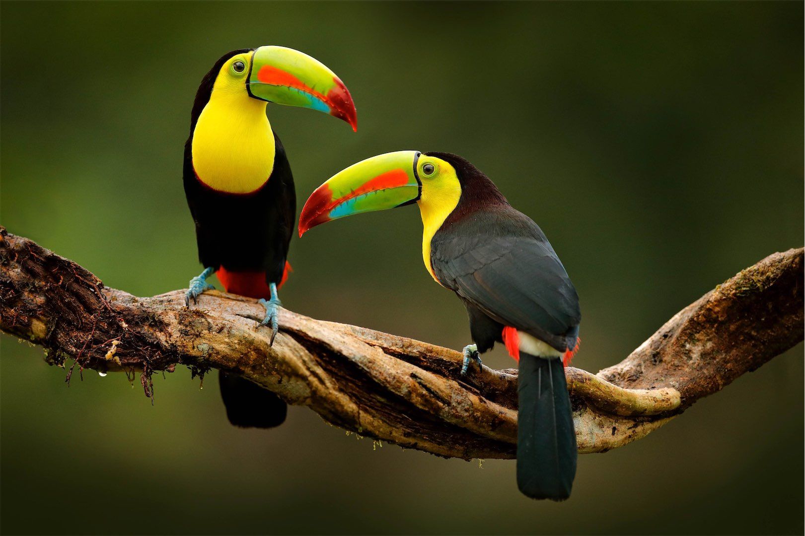 enquiry-2023_costa-rica.jpg