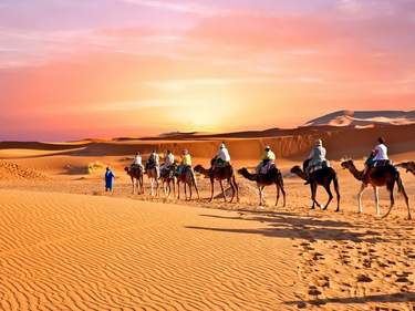 Moroccan  Journey Through Culture and History