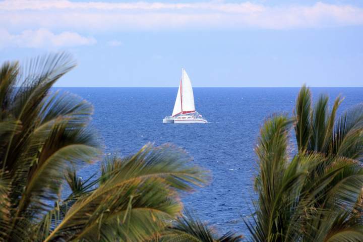 Costa Rica: Coast to Coast - image 12