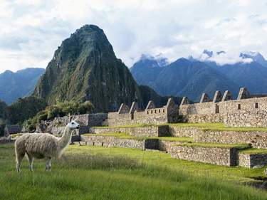 The Inca Mysteries & a Galapagos Islands Cruise