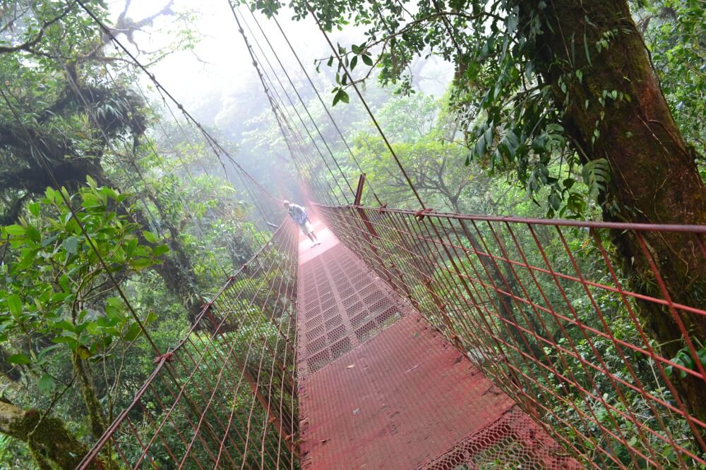 Monteverde-Costa-Rica-Ties.jpg