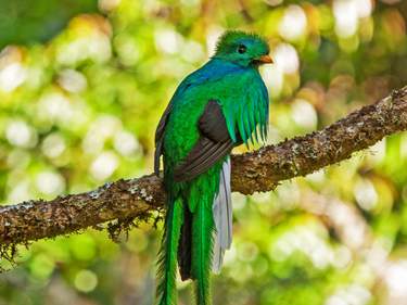 Costa Rica’s Wild South