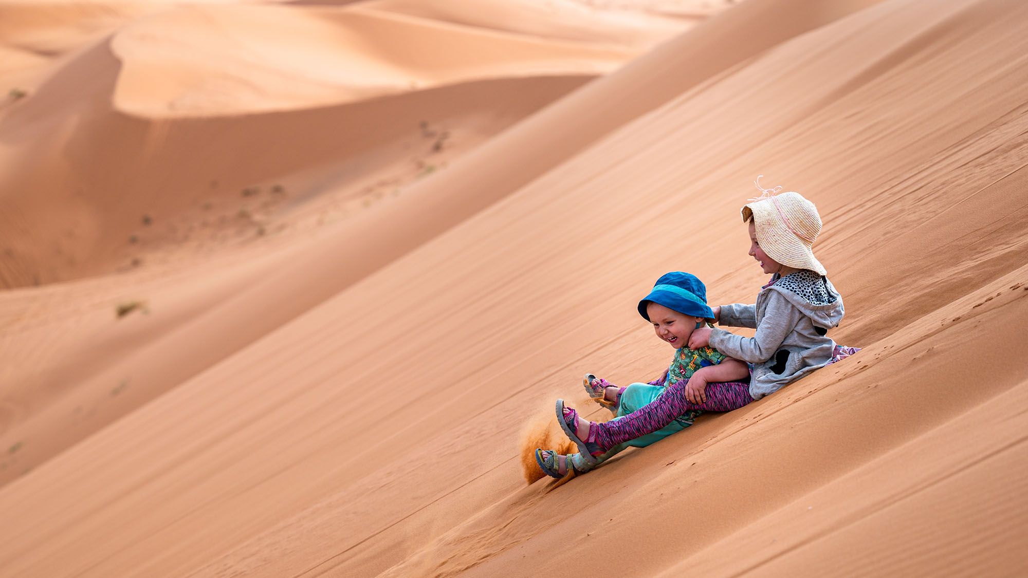 desert-majesty