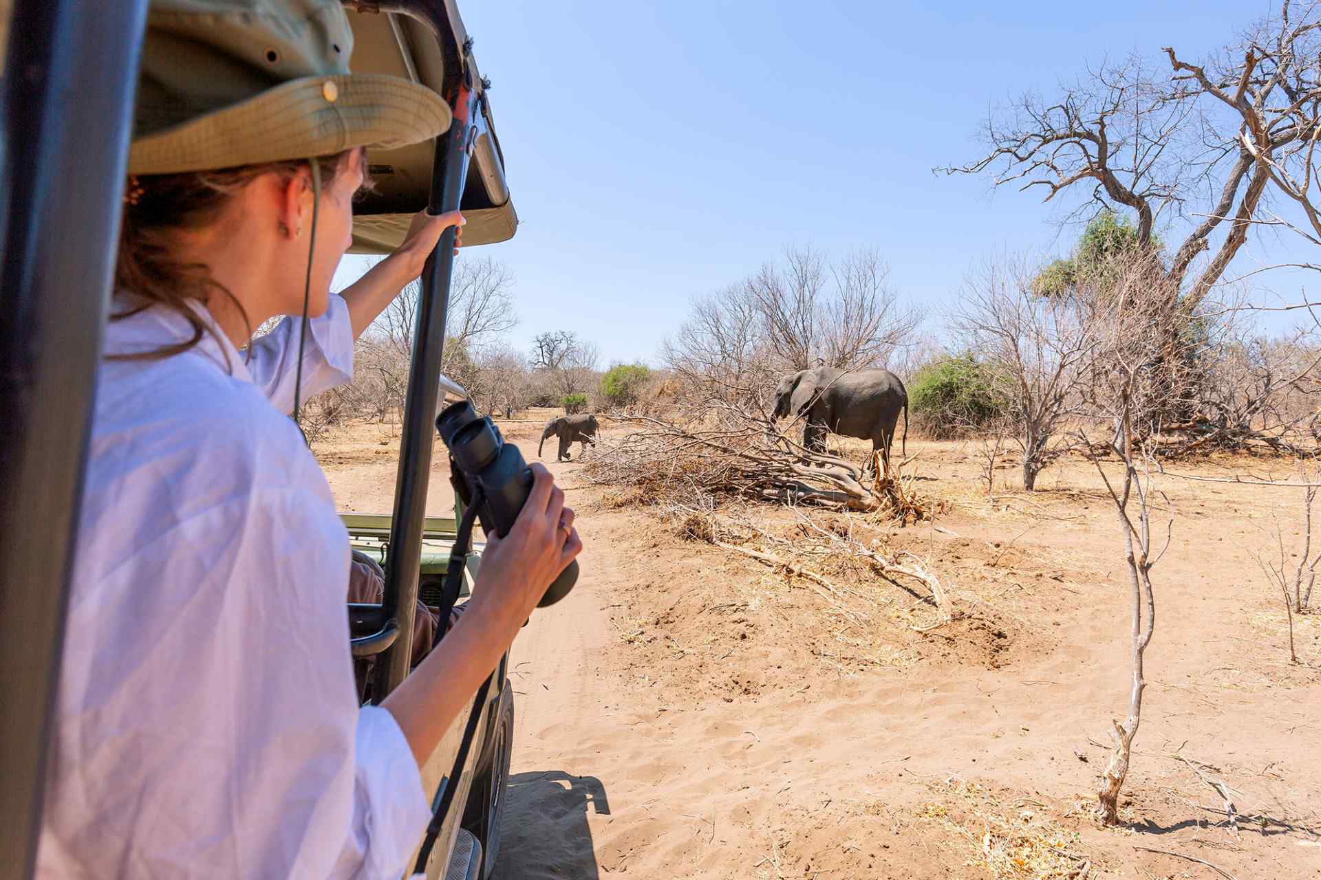 Namibia wildlife