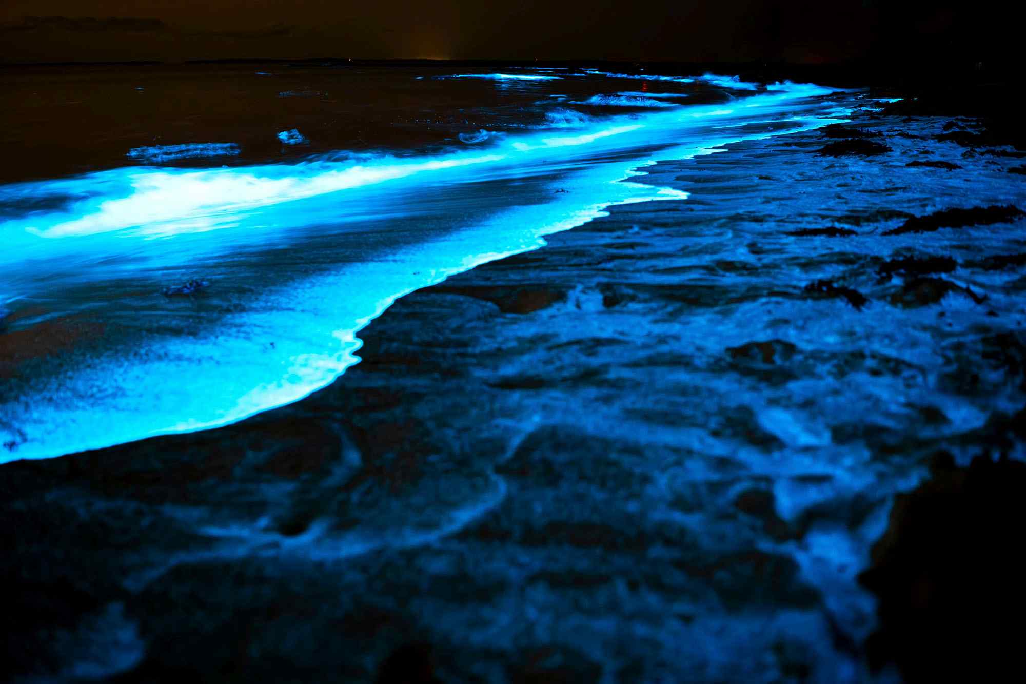 ocean-lightshow