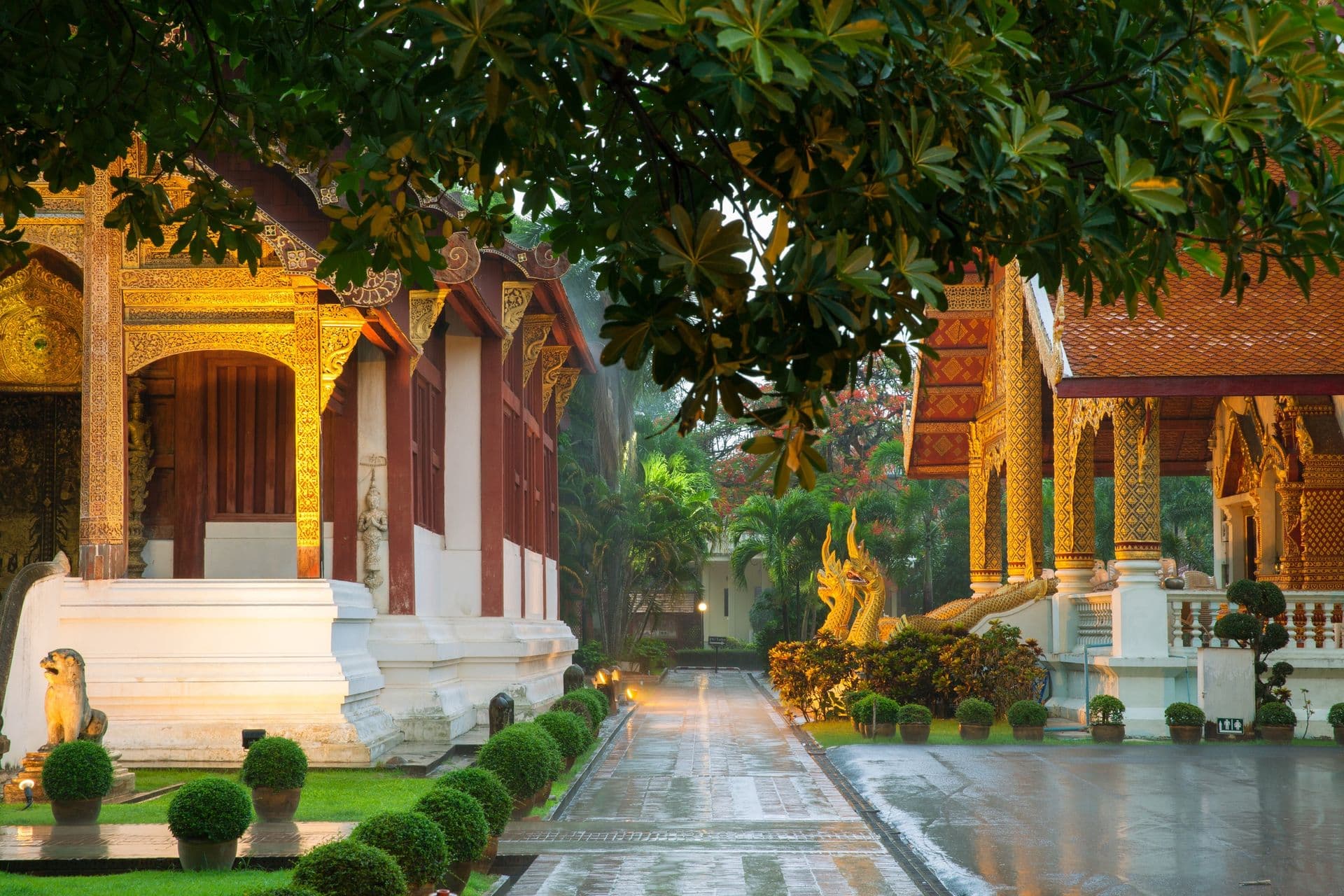 Wat Phra Singh Temple, Chiang Mai, Thailand. Chiang Mai's most revered temple.