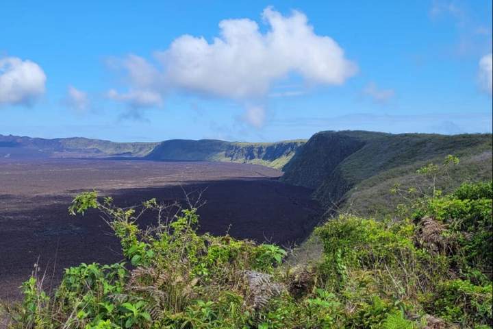 Best of Galapagos: Santa Cruz and Isabela Islands in 7 Days - image 4