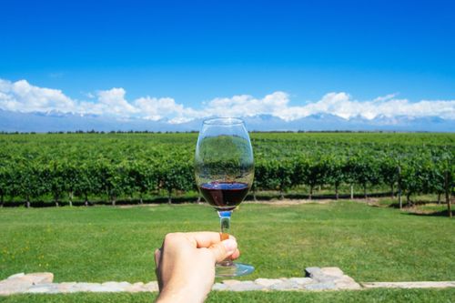 wine-paradise