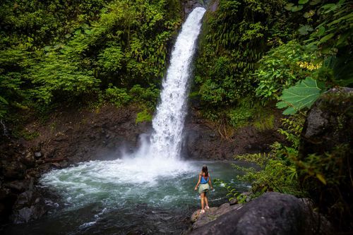 rainforest-thrills