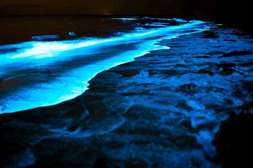 ocean-lightshow
