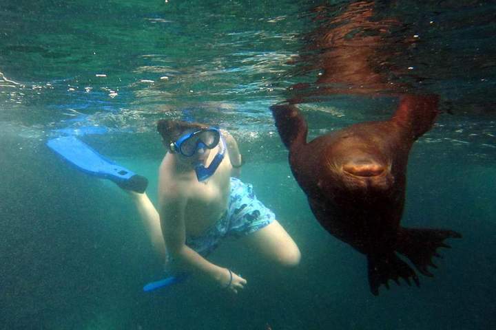 Best of Galapagos: Santa Cruz and Isabela Islands in 7 Days - image 5