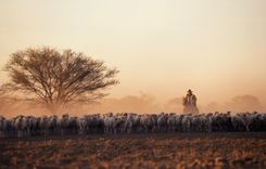 Outback Queensland
