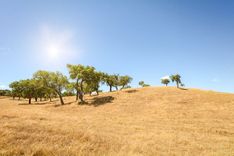 Alentejo