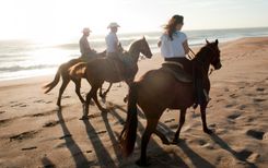 Acapulco and the Pacific beaches
