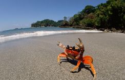 The Central Pacific and southern Nicoya