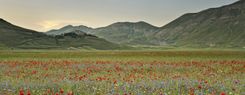 Umbria