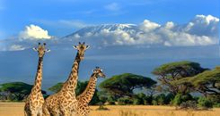 Kenya
