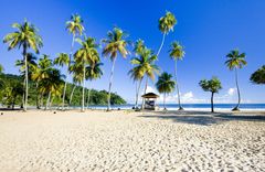 Trinidad &amp; Tobago