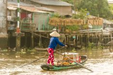 The Mekong Delta