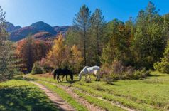 Abruzzo and Molise