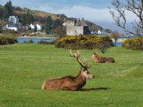 Argyll