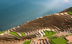 North Vietnam