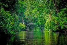 Limón Province and the Caribbean coast