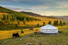  Mongolian yurta