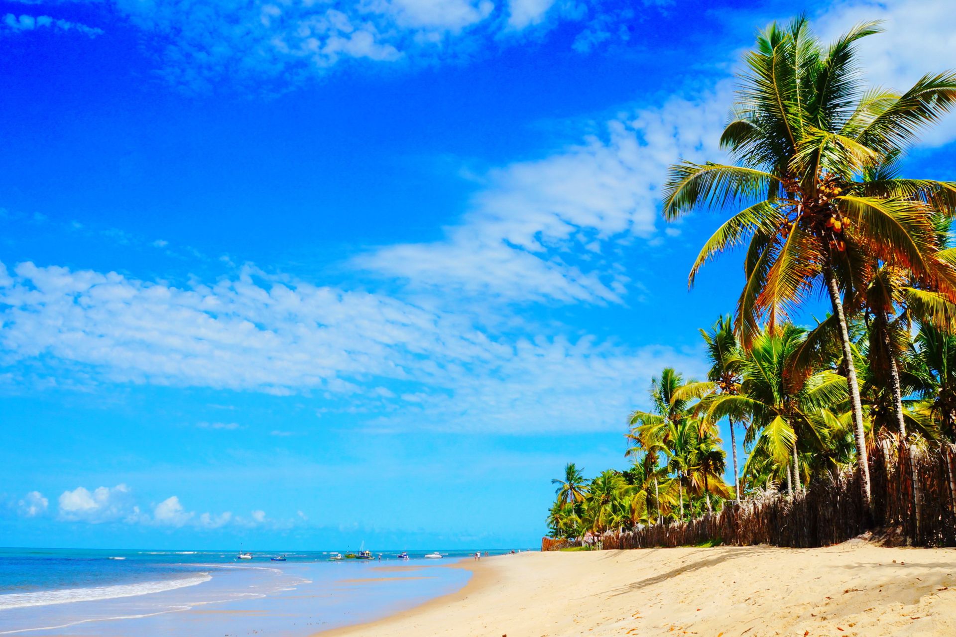 beach-bliss